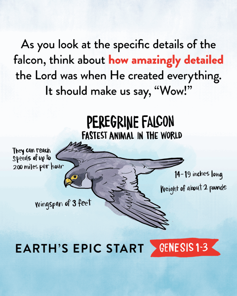 Earth's Epic Start by Costi and Christyne Hinn